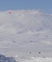 blimp source